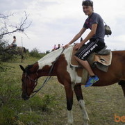 ���������� ����, ���� ������� �����, 41 ���, ������������ ��� ������, ���������