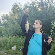 ���������� �����������, ���� ������� �������, 43 ����, ������������ ��� c�������� ���������, ���������