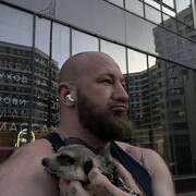 ���������� �������, ���� ������� ������, 33 ����, ������������ ��� ������, ����� � ���������