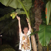 ���������� ���������, ���� ������� �����, 48 ���, ������������ ��� ������