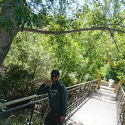 ���������� ����-�����������, ���� ������� ��������, 35 ���, ������������ ��� ������, ����� � ���������, c�������� ���������