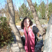  ,   , 41 ,     , c 