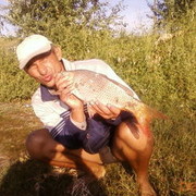 ���������� ��������, ���� ������� ��������, 55 ���, ������������ ��� ������