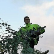  ,   DuPu Ankka, 29 ,   ,   