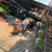  ,  Shoma, 31