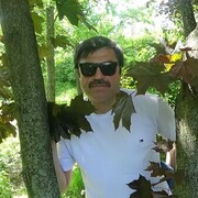  ,   , 52 ,   ,   
