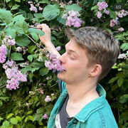 ���������� ������, ���� ������� ������, 28 ���, ������������ ��� ������, ����� � ���������, ���������