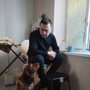 ���������� �����, ���� ������� ����, 38 ���, ������������ ��� ������, ����� � ���������