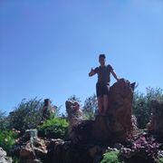 ���������� �����, ���� ������� ���������, 28 ���, ������������ ��� ������, ����� � ���������, c�������� ���������