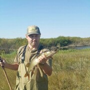 ���������� ������, ���� ������� ����, 54 ����, ������������ ��� ������, ����� � ���������