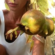 ���������� ����������, ���� ������� ����, 41 ���, ������������ ��� ������, ����� � ���������, c�������� ���������