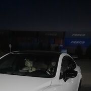 ���������� �����-���������, ���� ������� ����, 35 ���, ������������ ��� ������, ����� � ���������