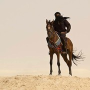 ���������� ����, ���� ������� �����, 48 ���, ������������ ��� ����� � ���������, c�������� ���������