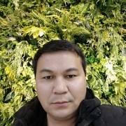 ���������� ������, ���� ������� ������, 43 ����, ������������ ��� ������, ���������