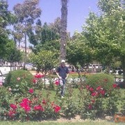 ���������� ����, ���� ������� �����, 34 ����, ������������ ��� ������