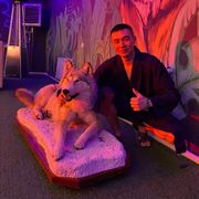 ���������� ���������, ������� ���, 29