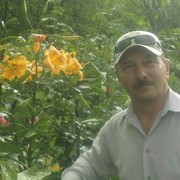 ���������� �������, ���� ������� C�����, 66 ���, ������������ ��� ������, ����� � ���������, c�������� ���������