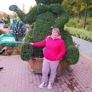 ���������� ��������, ������� ����, 38