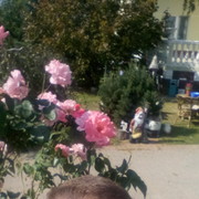  ,   Oleg, 47 ,   ,   , c 