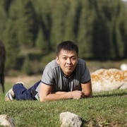  ,   , 33 ,   