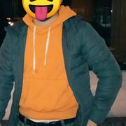 ���������� ������, ���� ������� �������, 29 ���, ������������ ��� ������, ����� � ���������