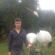 ���������� ����-���������, ���� ������� �������, 44 ����, ������������ ��� ������