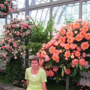 ,   , 64 ,   ,   , c 