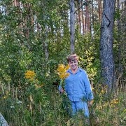  ,   , 66 ,     , c 