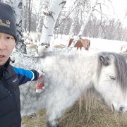 ���������� ������, ���� ������� ������, 38 ���, ������������ ��� c�������� ���������, ���������