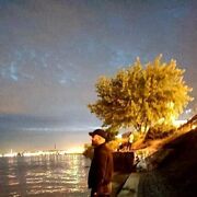 ���������� �����-���������, ���� ������� ������, 31 ���, ������������ ��� ������, ����� � ���������