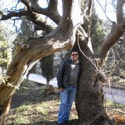  ,   , 56 ,  