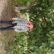  ,   , 53 ,   ,   