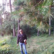  ,   , 35 ,   ,   