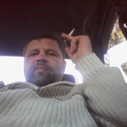  --,   , 49 ,   