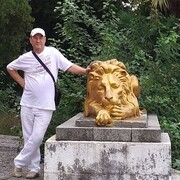  ,   , 57 ,     , 