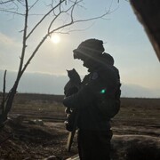 ���������� �������, ������� ������, 37