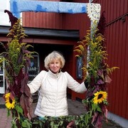  ,   , 71 ,     