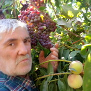  --,   , 65 ,   ,   , 