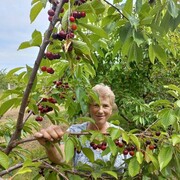 ���������� �������, ���� ������� Lidia, 64 ����, ������������ ��� ����� � ���������, c�������� ���������, ���������