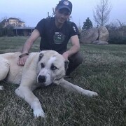 ���������� ��������������, ���� ������� ����, 47 ���, ������������ ��� ������