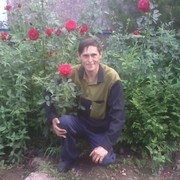  -,   , 53 ,   ,   , c 