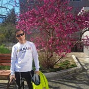 ���������� ����, ���� ������� ����, 39 ���, ������������ ��� ������, ����� � ���������