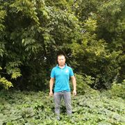 ���������� �������, ���� ������� Elbek, 31 ���, ������������ ��� ������, ����� � ���������