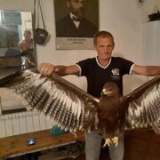  ,   , 59 ,   ,   