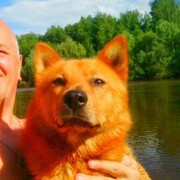 ���������� ���������, ������� �����, 51