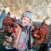 ���������� �������, ���� ������� �����, 28 ���, ������������ ��� ������, ����� � ���������