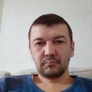  ,  bek, 42