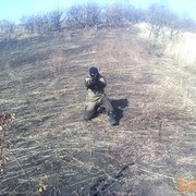  ,   , 43 ,  