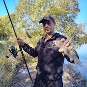 ���������� ������-�������, ���� ������� �������, 44 ����, ������������ ��� ������, ����� � ���������, c�������� ���������, ���������