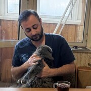 ���������� ������, ���� ������� ���, 35 ���, ������������ ��� ������, ����� � ���������